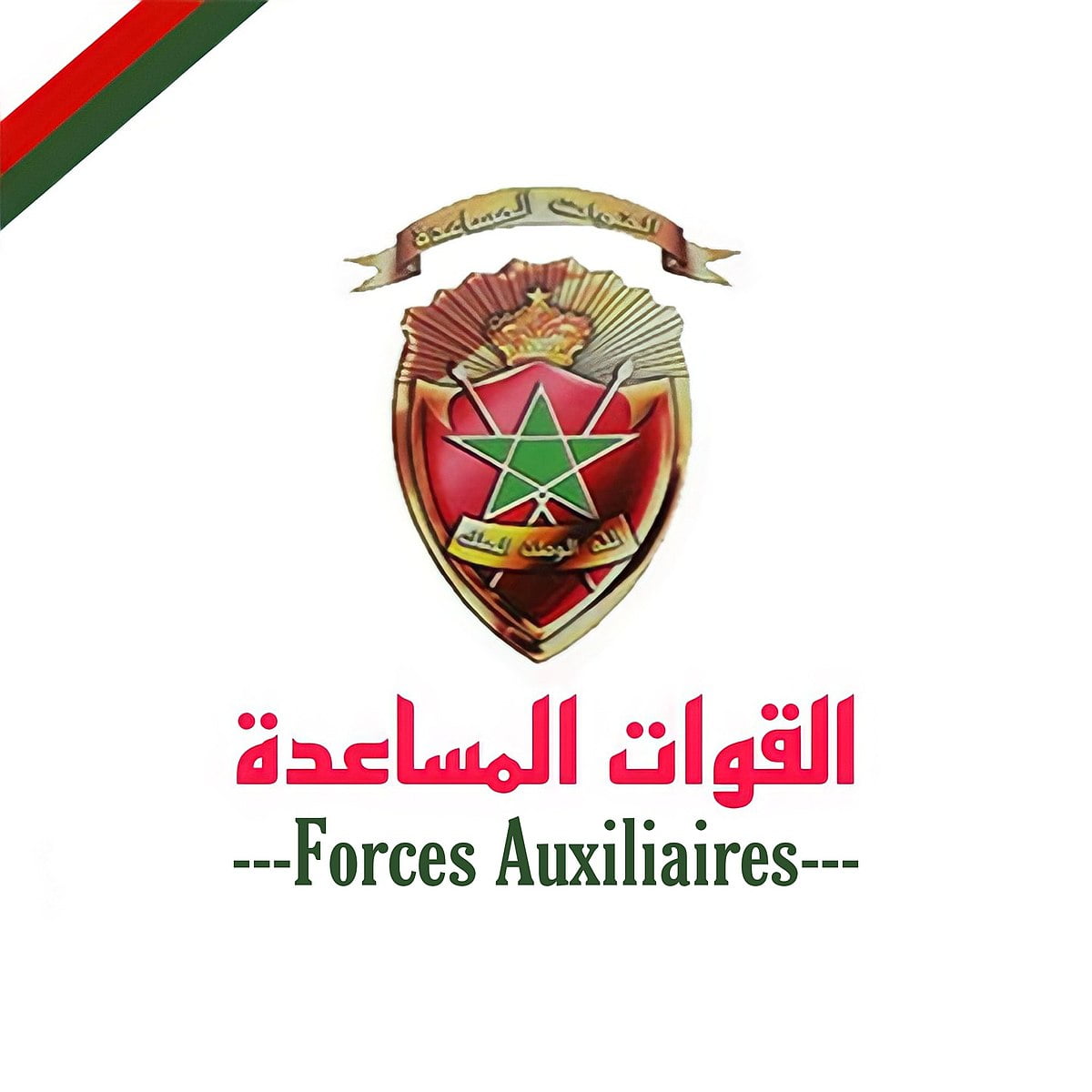 رابط التسجيل في القوات المساعدة 2022 recrutement.fa.gov.ma والاوراق المطلوبة للتقديم