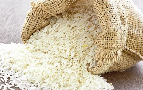 الحبة العربيضة بكام| سعر طن الارز الشعير اليوم الأحد 2024/2/18 خزني قبل رمضان عشان مترجعيش تتفاجئي بسبب الأسعار