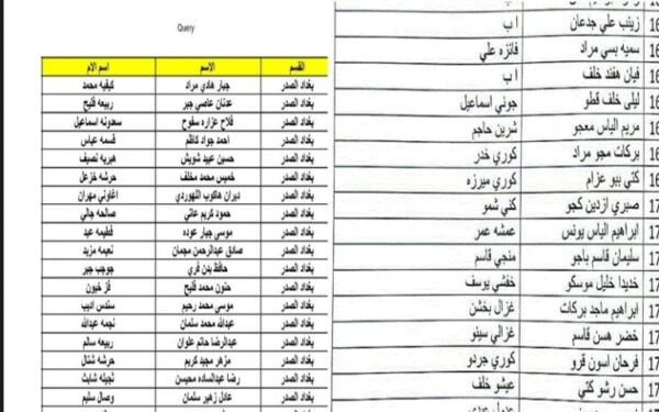 DOWNLOAD .. كشوفات اسماء المشمولين فى الرعاية الاجتماعية pdf الوجبة الاخيرة spa.gov.iq