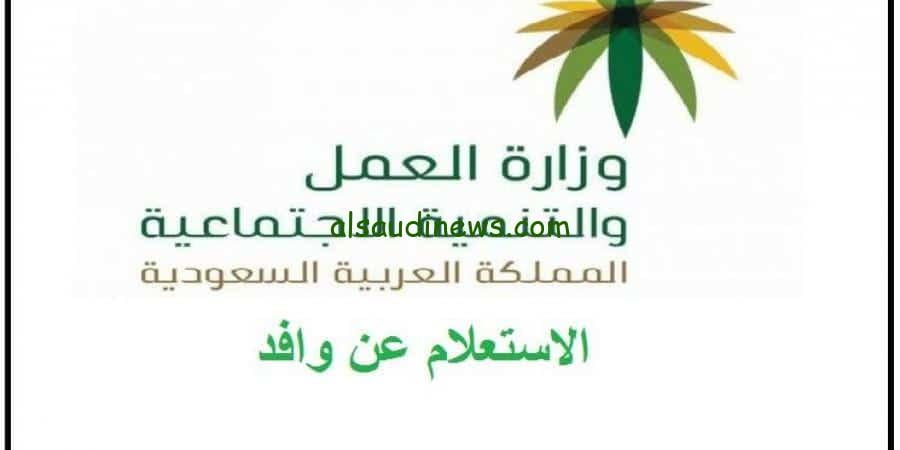 استعلام عن موظف وافد برقم الإقامة 1445 عبر موقع وزارة الموارد البشرية hrsd.gov.sa