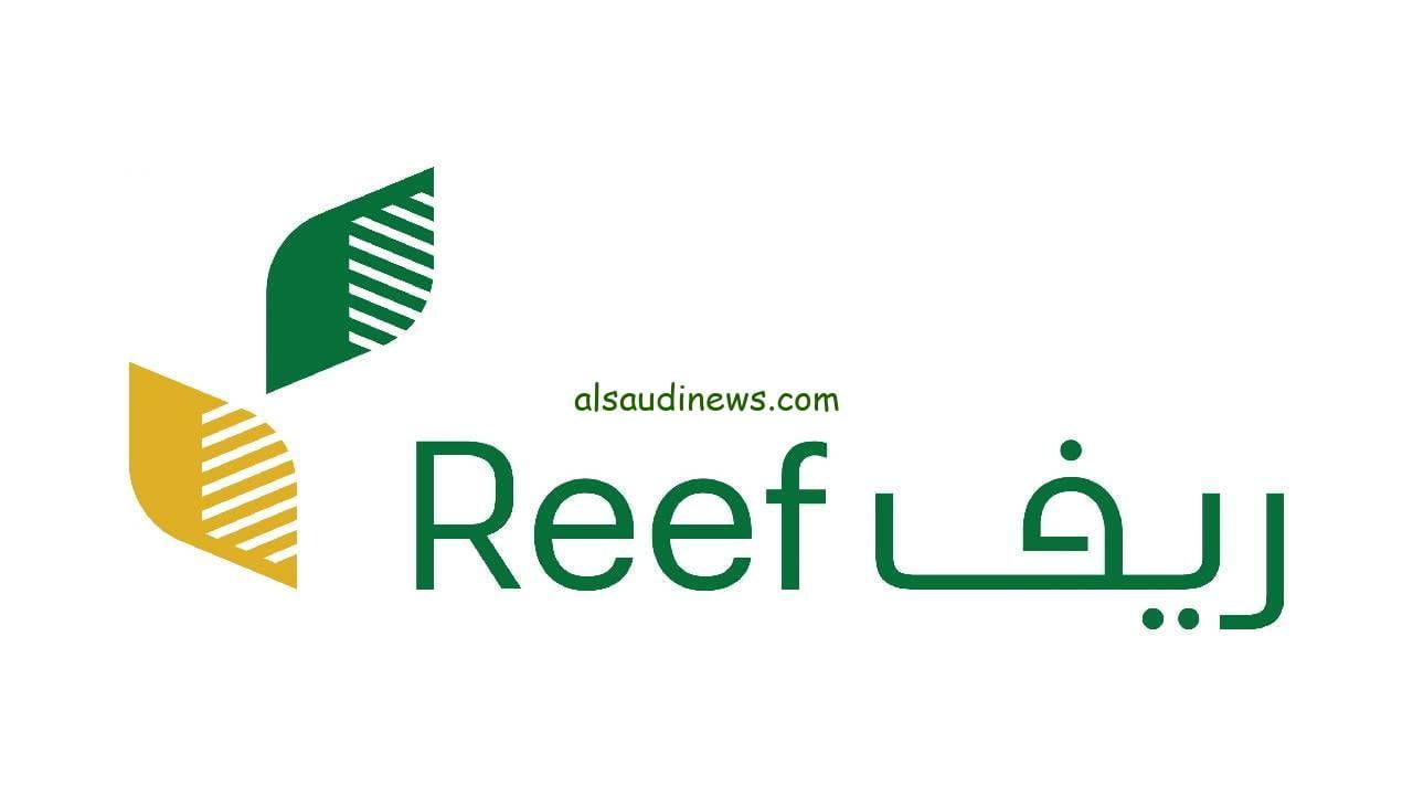 منصة دعم ريف تسجيل الدخول 1445 reef.gov.sa.. شروط التسجيل في دعم ريف 2023 بعد التعديلات الجديدة للبرنامج