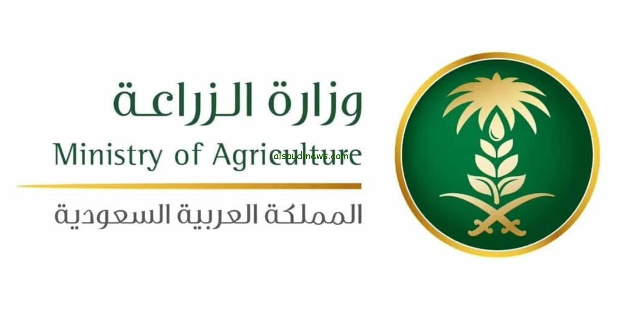 استعلام عن دعم مربي المواشي متى ينزل الدعم شهر أكتوبر 1445 عبر بوابة النفاذ الوطني