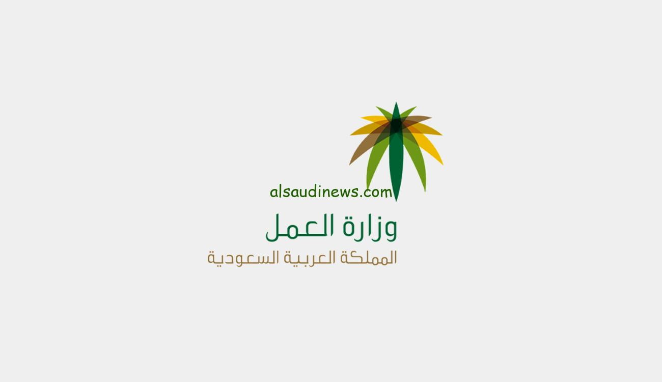 عاجل:- سلم رواتب الضمان الاجتماعي المطور الجديد 1445 المُعلن من قبل وزارة الموارد البشرية