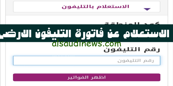 telecom..رابط وخطوات الاستعلام عن فاتورة التليفون الارضى شهر اكتوبر 2023 عبر موقع المصرية للاتصالات