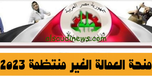 منحة ال 1000 جنية.. رابط الاستعلام عن منحة العمالة الغير منتظمة بالرقم القومى عبر موقع وزارة القوى العاملة Manpower.gov.eg