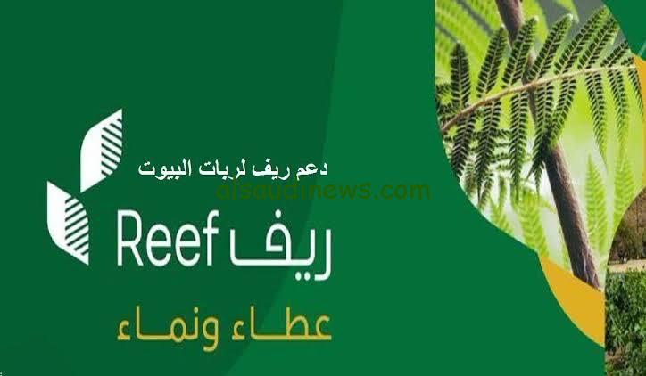 رابط تسجيل دعم ريف 2024 reef.gov.sa لأصحاب الدخل المحدود والمتقاعدين بالخطوات