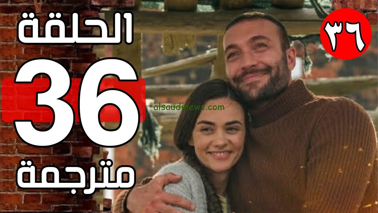 مسلسل طيور النار الحلقة 36 مترجمة