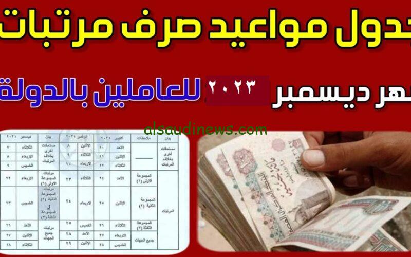 هيقبضوا ويملوا جيبهم.. موعد صرف رواتب الموظفين الحكوميين شهر ديسمبر 2023