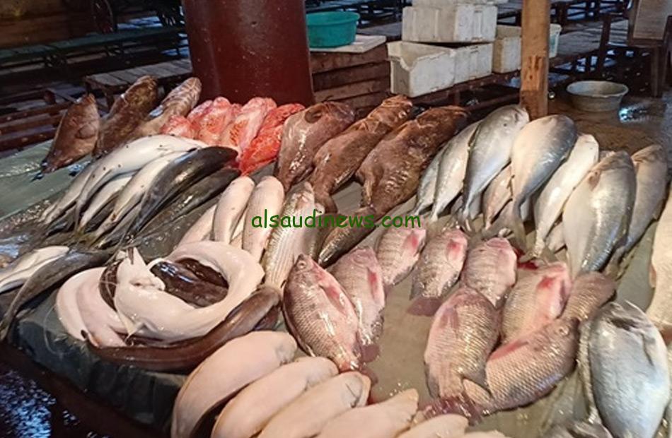 البلطي بكام انهارده.. تعرف علي أسعار السمك اليوم الاربعاء 17 يناير في جميع الاسواق