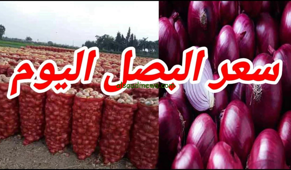 هبـــــوط .. أسعار البصل اليوم في سوق العبور “23 يناير 2024”.. بكام طن البصل الأحمر؟؟