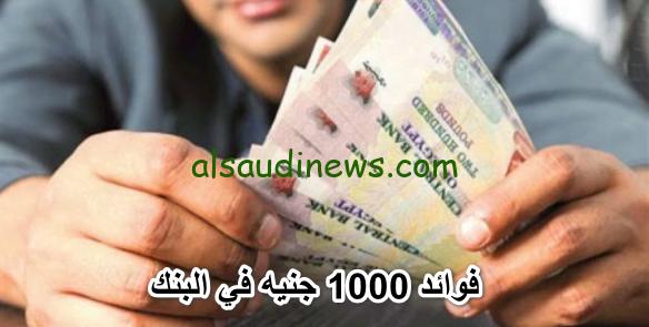 شوف فلوسك هتزيد كام.. إزاى تحسب الفائدة على شهادة الادخار بعائد 27% لمدة عام فوائد 100 ألف جنيه في الشهر في البنك
