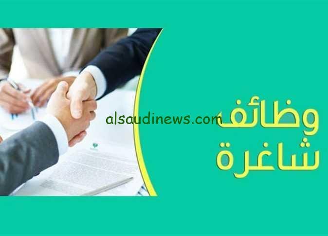 وظائف خالية براتب 6500 جنية… وظائف وزارة التموين 2024 والشروط المطلوبة للتقديم