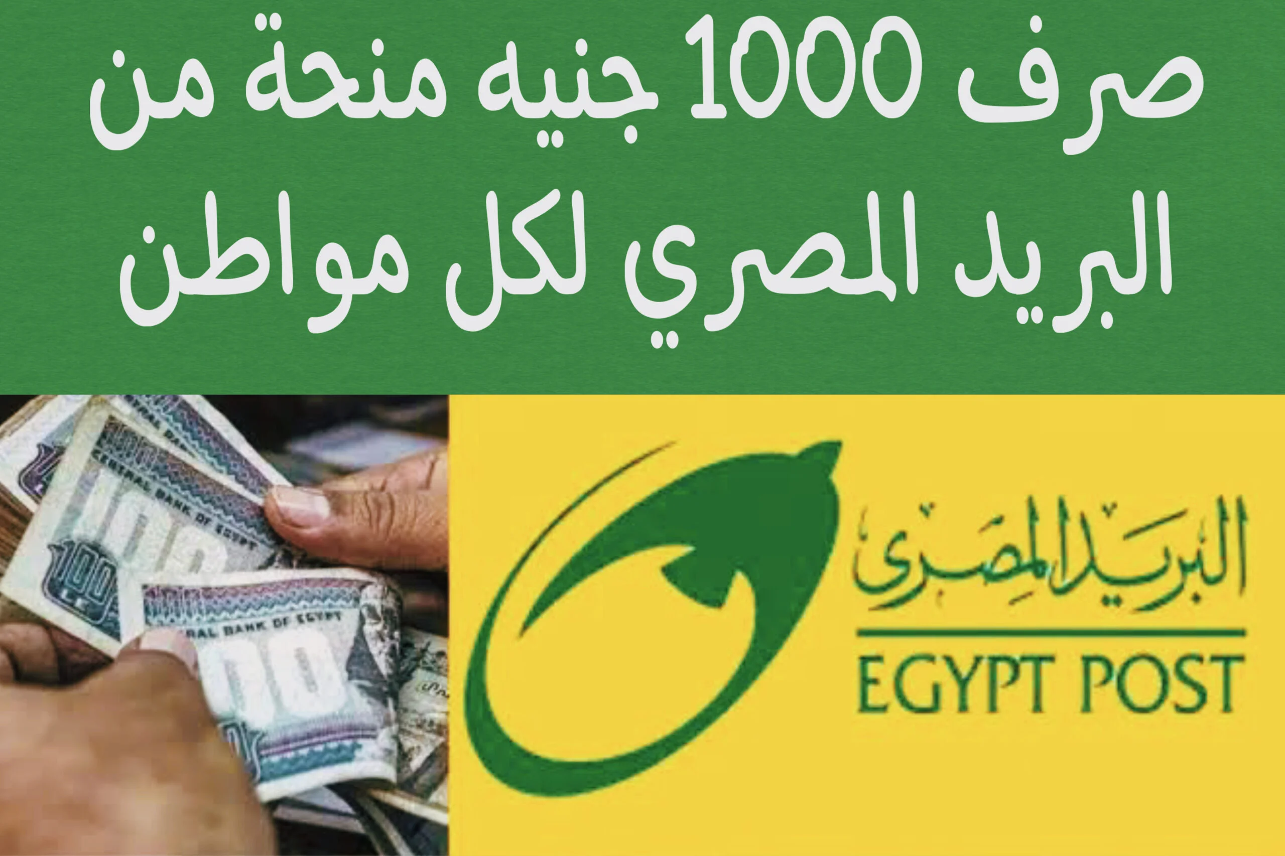 “اخر نداء”.. الحصول على منحة الـ 1000 جنيه بصورة البطاقة في هذه الحالات