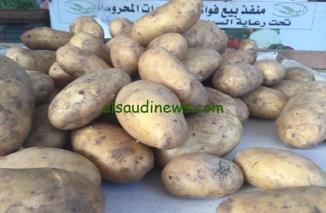 أسعار البطاطس اليوم.. سعر البطاطس اليوم 19 يناير 2024 الخضروات في سوق العبور بكام الكيلو والطن