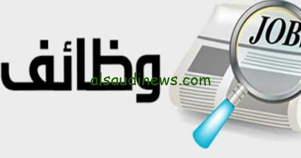 فرصه عمل للباحثين عن وظيفة 12000… وظيفه جديدة.. البرلمان يعلن عنها في 2024