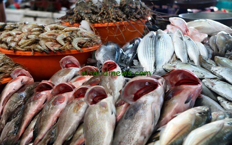 اشترى واعزم حبيايبك.. أسعار السمك اليوم في الاسواق