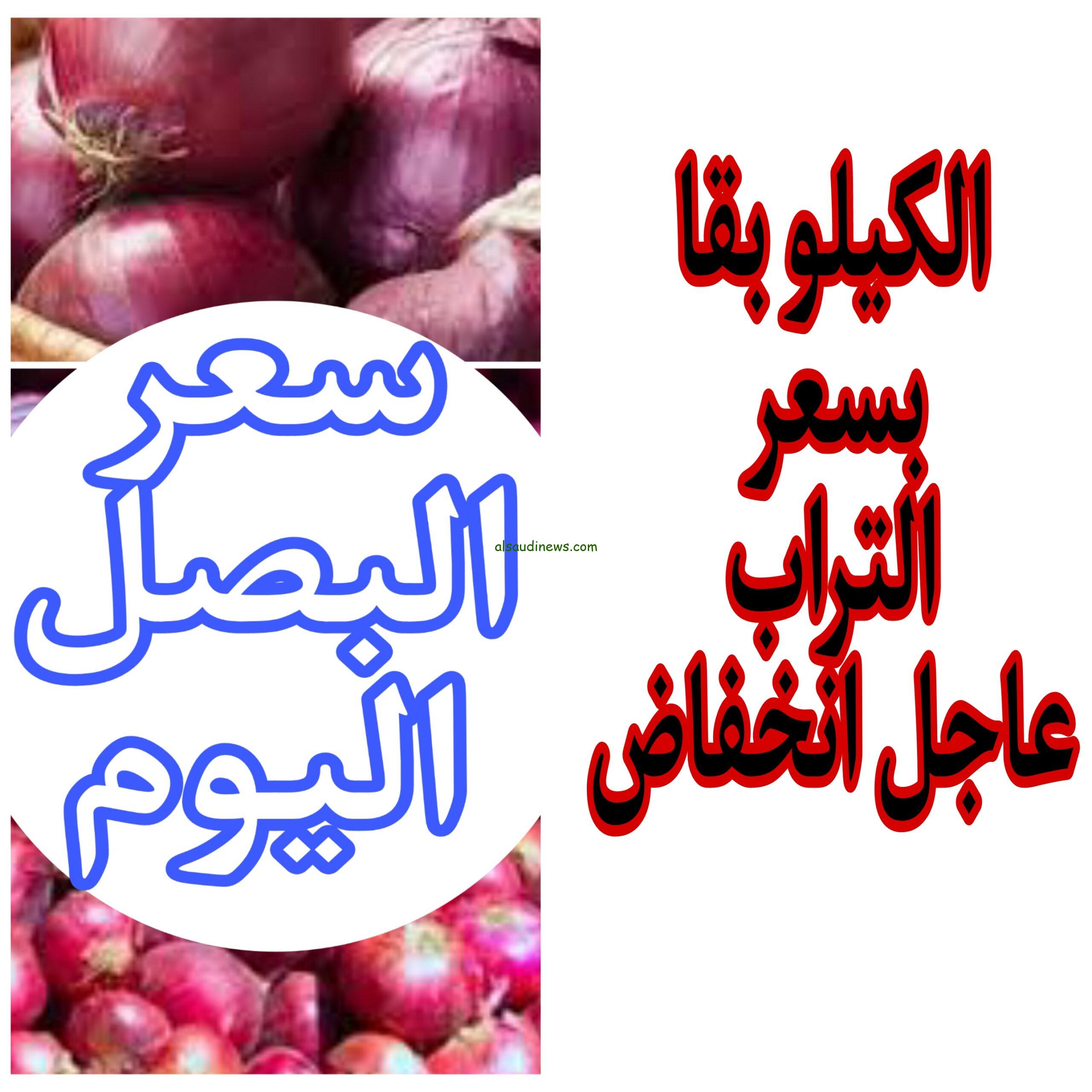 «اشتري يا مدام وخزني كمان».. سعر البصل اليوم في جميع الاسواق.. شوف الكيلو وصل كام
