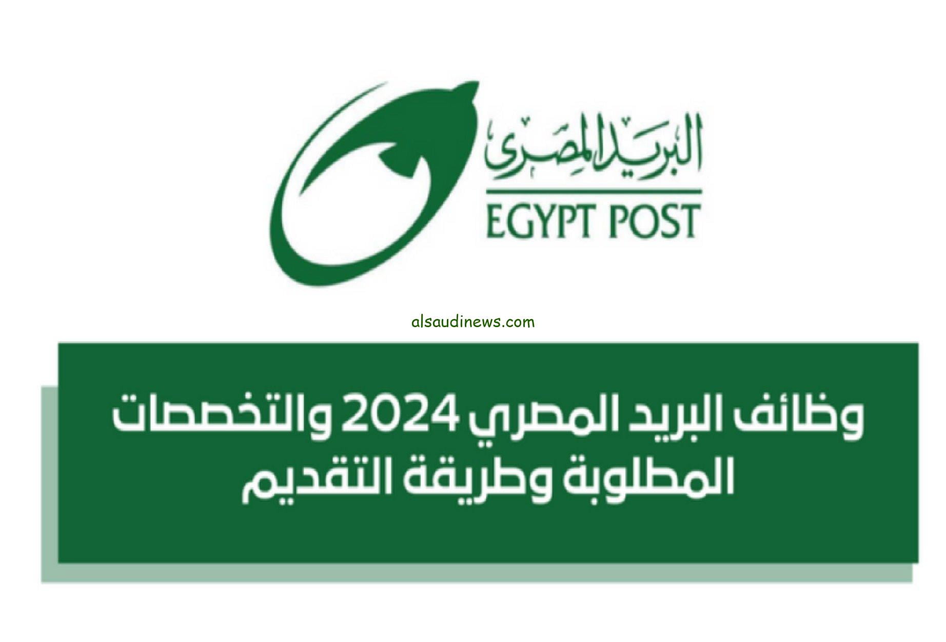 مش شغال ومش لاقي شغل معاك مؤهل عالي او متوسط .. وظائف البريد المصري 2024 براتب 8000 ج التقديم عبر بوابة الوظائف الحكومية