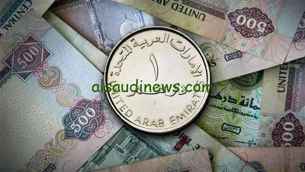 الدرهم الإماراتي بكام؟!.. سعر الدرهم الإماراتي في السوق السودة اليوم مقابل الجنية المصري