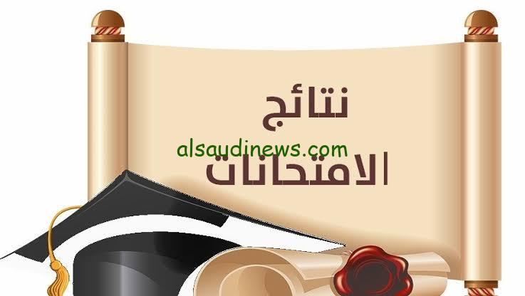 قريباً.. إعلان نتيجة الشهادة الاعدادية القليوبية بالإسم ورقم الجلوس