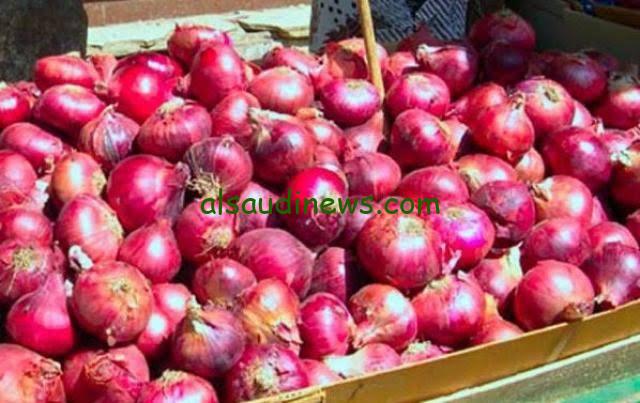 “الكيلو بـ35 جنية”.. أسعار البصل اليوم الاثنين 29-1-2024 تعاود الارتفاع في سوق العبور وعند المزارعين