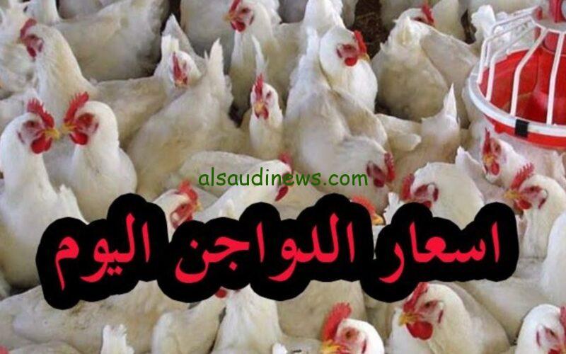 «الفراخ رايحة على فين تاني».. زيادة أسعار الفراخ البيضاء وكراتون البيض