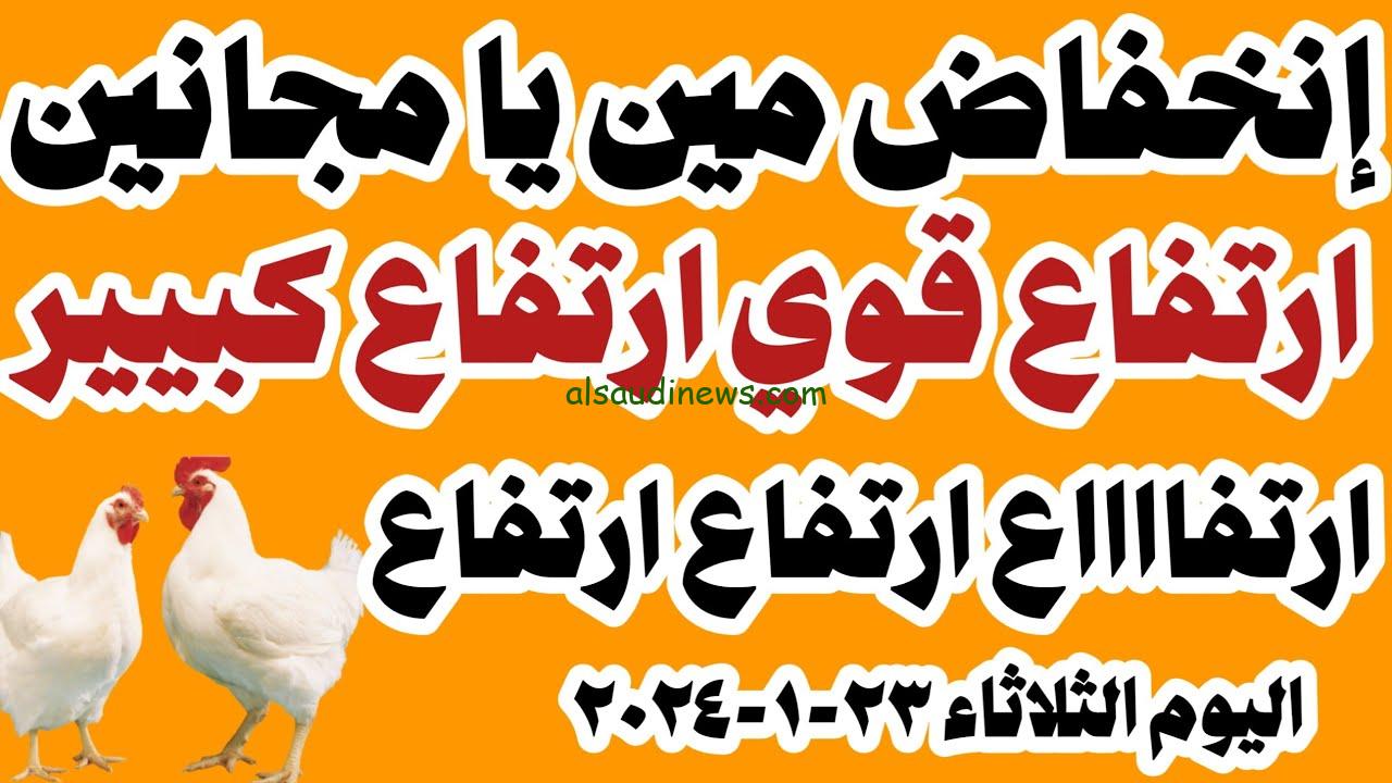 مفاجأة في الاسعار الحقي اشتري.. أسعار الدواجن اليوم الثلاثاء 23 يناير 2024 في الأسواق