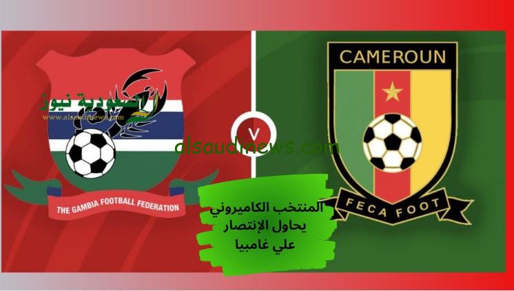 الأسود تنجح في الصعود.. نتيجة مباراة الكاميرون وجامبيا اليوم في كأس أفريقيا