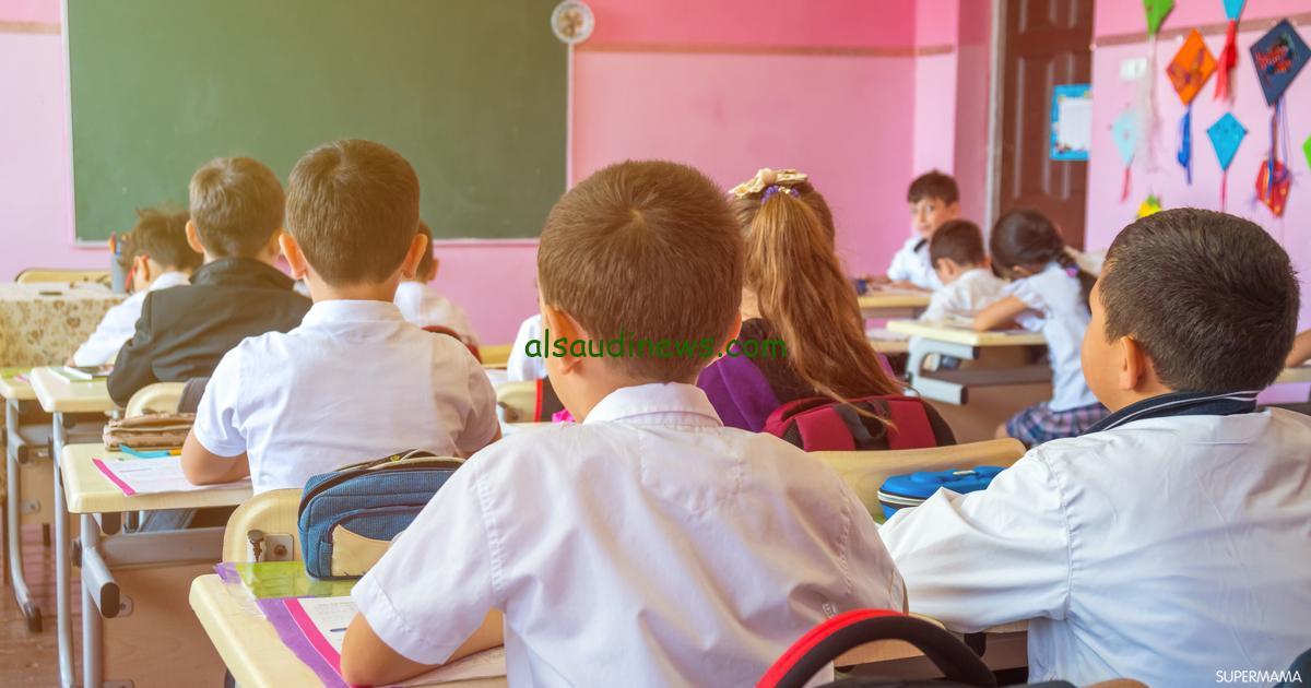 تهانينا الحارة… روابط نتائج الصف الثانى الإعدادي للترم الأول 2024 بأرقام الجلوس – فرحة النجاح والتفوق