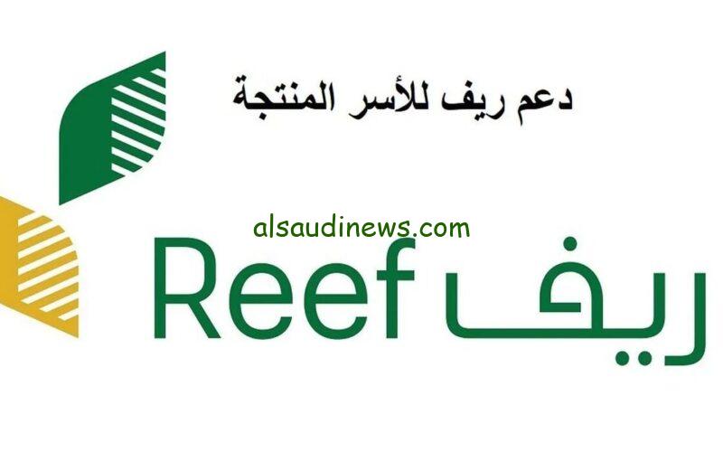 كيف تحصل على دعم ريف.. الوزارة توضح شروط التقديم