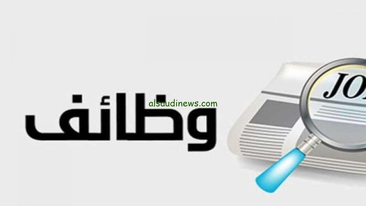 الآن.. رابط التقديم فى وظائف وزارة العدل لجميع التخصصات 2024 عبر بوابة الوظائف الحكومية والمستندات المطلوبة
