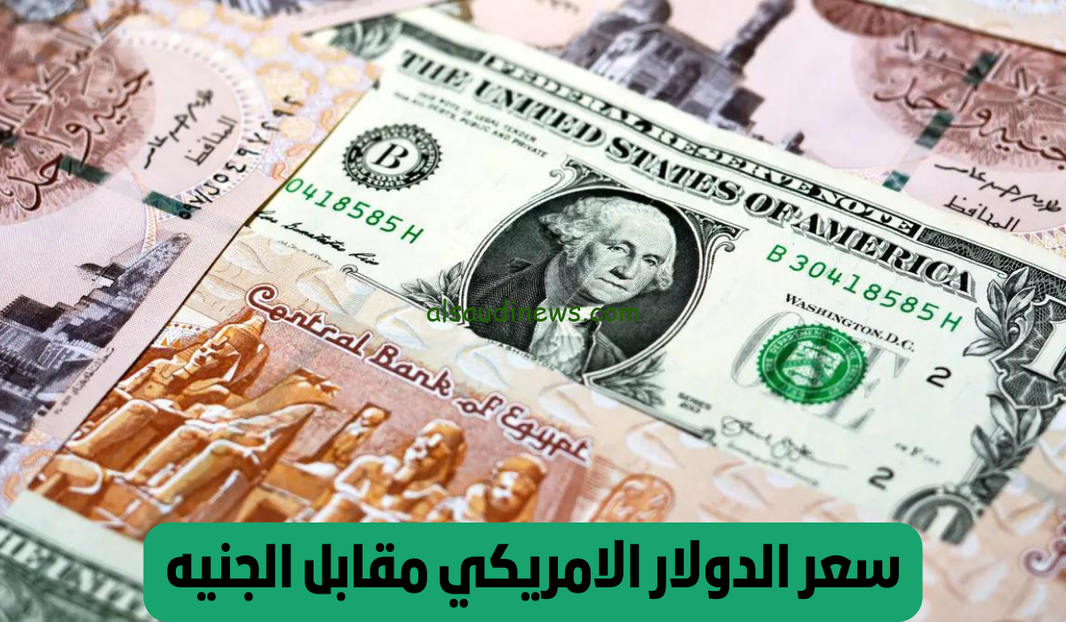 أسعار الدولار اليوم بعد سعر الفائدة | بــ 45 الآخضر ينهار في السوق السوداء في مصر اليوم