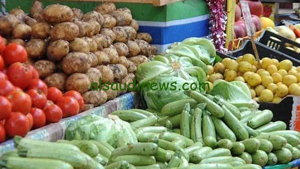 كيلو الكوسه بـ 12 جنيه|… سعر الكوسة في الأسواق اليوم 11 فبراير 2024.. سعر الخضروات في سوق العبور