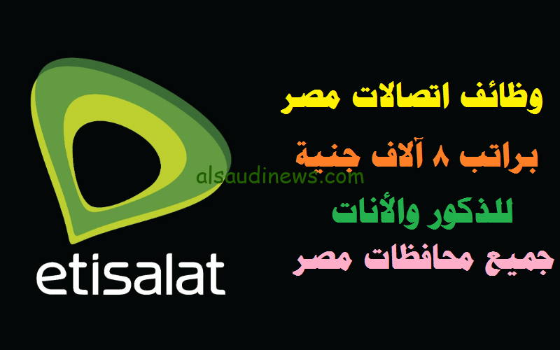 فرصة عمل براتب 8500… التسجيل في وظائف شركة اتصالات مصر.. الشروط والتخصصات المطلوبة