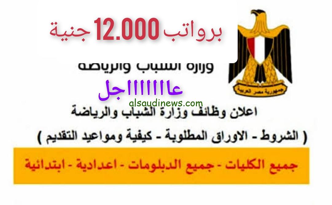 شغلك علينا || وظائف وزارة الشباب والرياضة تعرف علي الأوراق المطلوبة