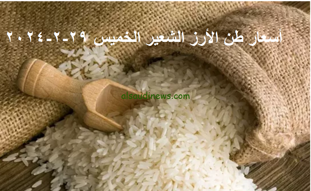 الأسعار تتراجع الكيلو بكام… أسعار طن الأرز الشعير اليوم الخميس 29 فبراير 2024 في الأسواق والمحلات