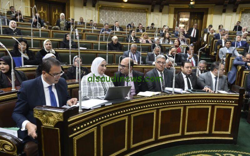 “يا بختهم” مجلس النواب يوافق على قانون المسنين ورعايتهم