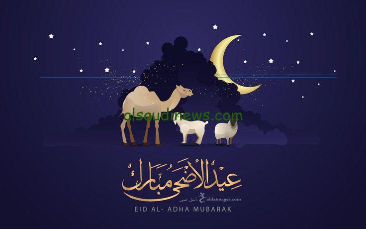 العيد الكبير أمته؟ موعد العيد الكبير 2024 واجمل رسائل تهنئة بمناسبة العيد الكبير