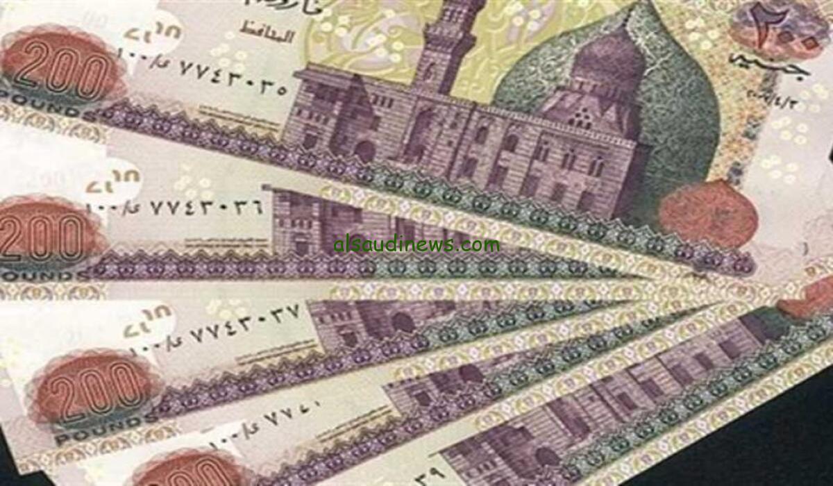 «إتحاد العمال» تزف بشرى سارة للعمال زيادة مرتبات القطاع الخاص 2024
