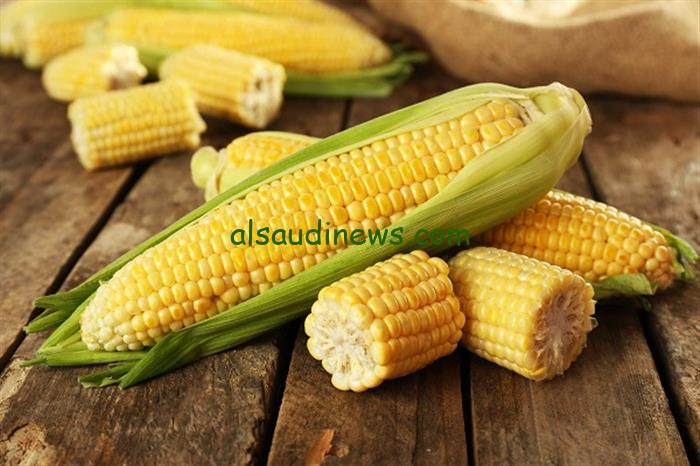 “بعد انهيار السوق السوداء” سعر طن الذرة الصفراء اليوم الأثنين 26-2-2024 في مصر