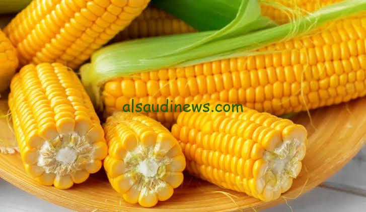 العلف وصل كام النهارده.. سعر طن الذره الصفراء اليوم في مصر الأحد 11 / 2 / 2024 سعر طن علف تسمين الدواجن