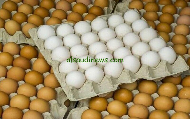 “البيض بكام النهاردة؟” سعر كرتونة البيض اليوم الثلاثاء 27-2-2024