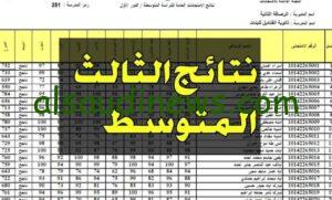 “مبروك مبروك” نتائج الثالث المتوسط التمهيدي 2024 عبر موقع وزارة التربية والتعليم العراقية