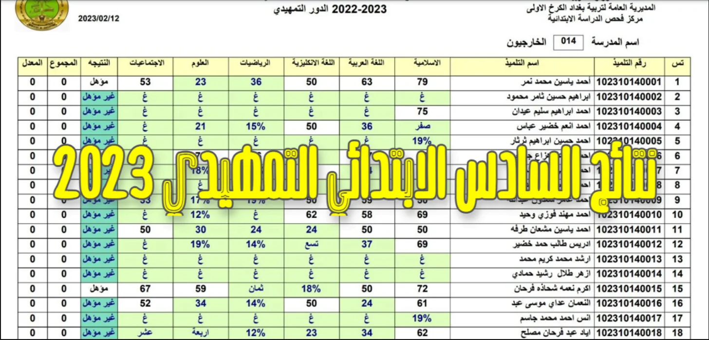 مليون مبروك.. نتائج السادس الابتدائي الدور التمهيدي 2024 الكرخ الثانية عبر موقع نتائجنا