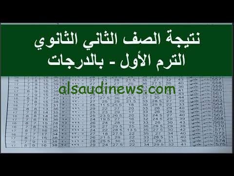 بالإسم فقـــط: رابط نتيجة الصف الثاني الثانوي 2024 الترم الأول