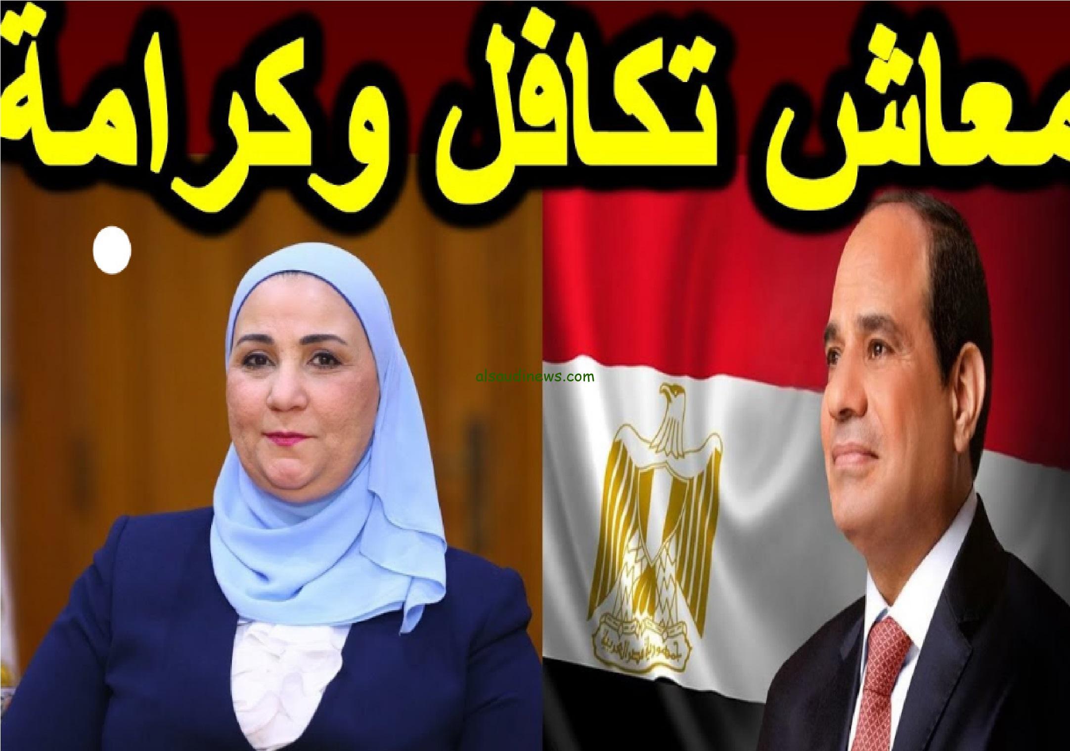 “بالرقم القومي وبخطوات سهلة”.. رابط الاستعلام عن الأسماء الجديدة في تكافل وكرامة 2024 عبر وزارة التضامن الاجتماعي
