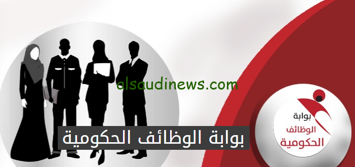 “شوف اتقبلت ولا لأ”.. بالخطوات طريقة الاستعلام عن نتيجة وظائف البريد المصري بالرقم القومي