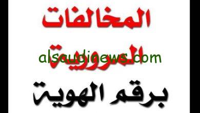 من البيت” استعلام مخالفات المرور مصر برقم السيارة 2024 عبر digital.gov.eg