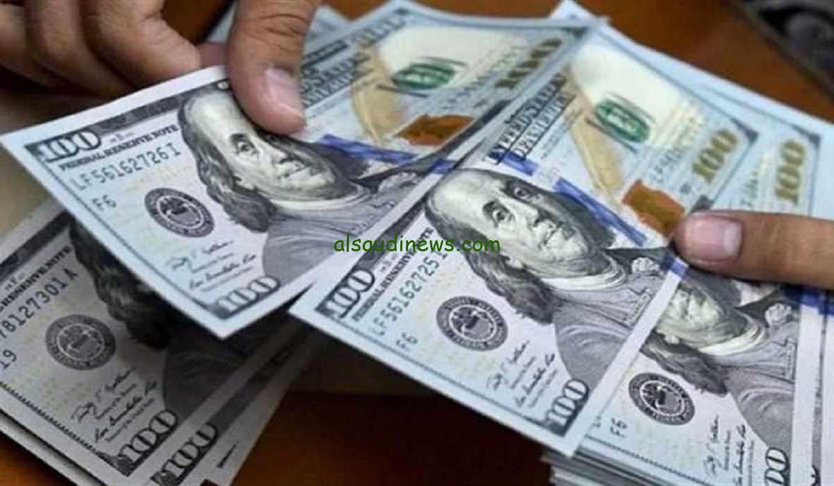“بكام الأخضر؟” سعر الدولار في بنك الإسكندرية الآن بعد قرار البنك المركزي الجديد