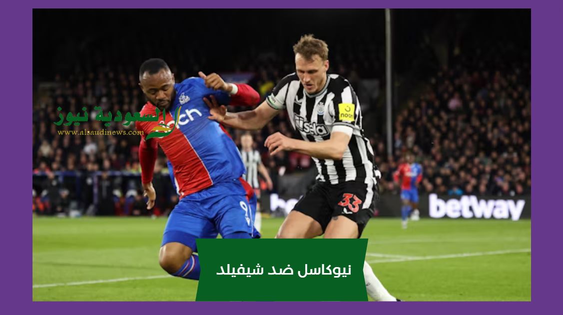 نيوكاسل يفوز بخمسة علي شيفيلد.. نتيجة مباراة نيوكاسل يونايتد وشيفيلد يونايتد اليوم beIN 2HD